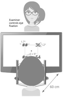 Hemispheric Lateralization of Arithmetic Facts and Magnitude Processing for Two-Digit Numbers